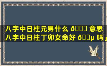 八字中日柱元男什么 🐕 意思「八字中日柱丁卯女命好 🌵 吗」